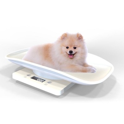 10kg Capacity Used Electronic Digital Animal Pet Platform Scales Cattle Weighing Scales For Cat Dog